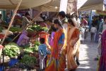 05 Jaipur  Jodpur Mix (65)